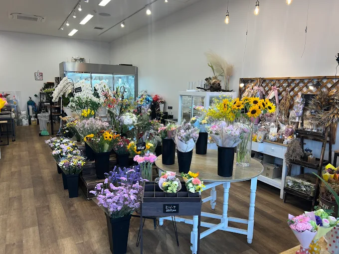 Gallery 2